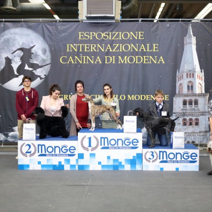 27° Expo Internazionale di Modena 