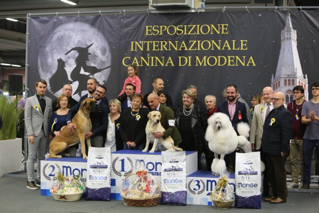 FOTOGRAFIE Esposizione Internazionale di Modena 2018
