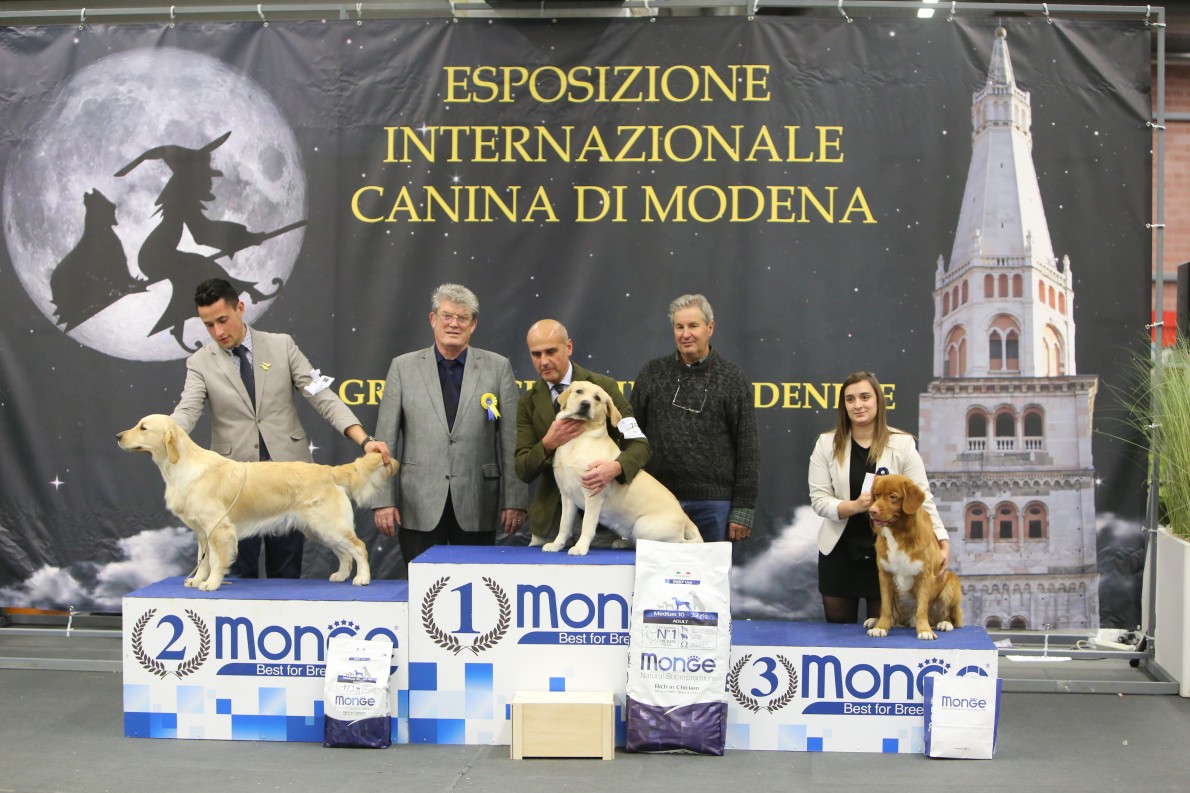 27° Expo Internazionale di Modena 