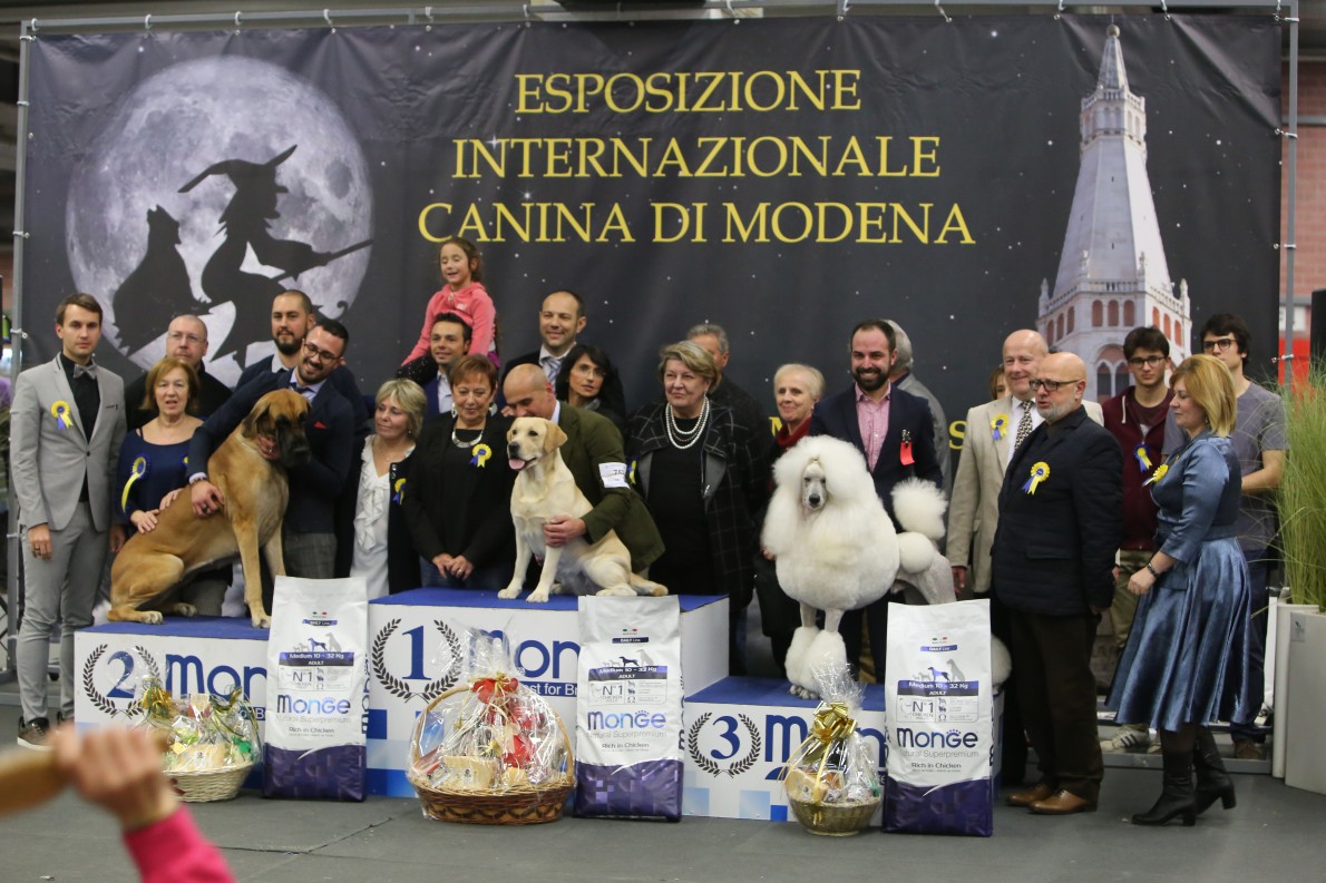27° Expo Internazionale di Modena 